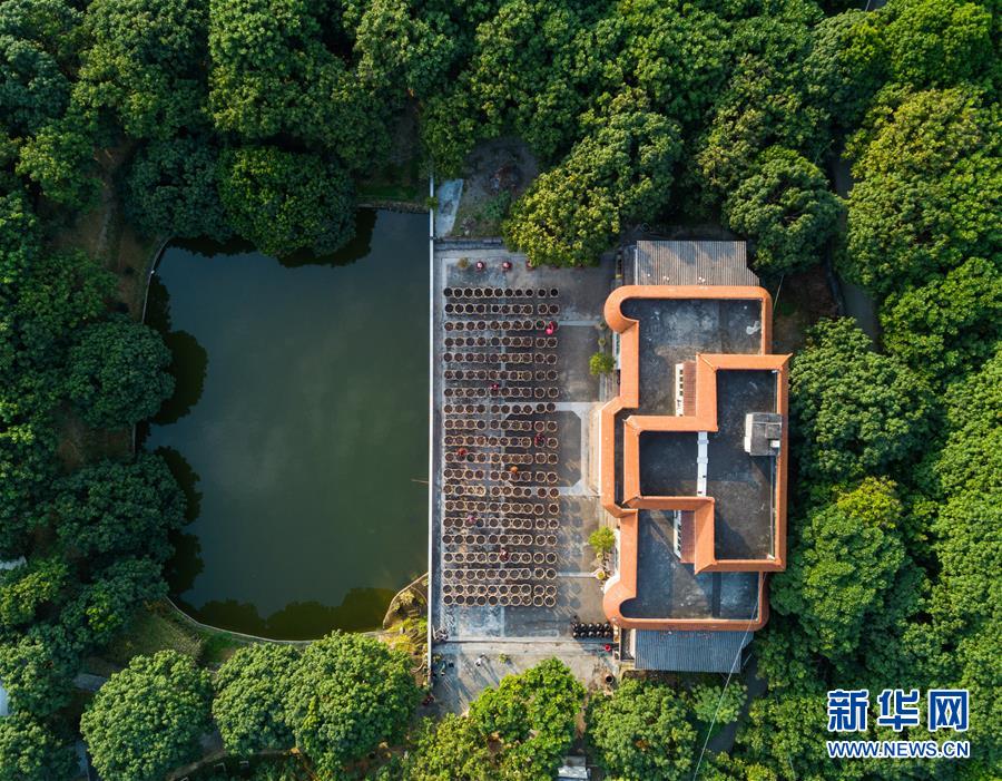 （北京世园会）（15）生态中国·碧水丹山瞰武夷