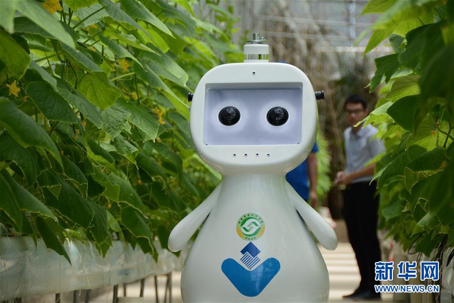 （图文互动）（1）迈向“无人农场”——福建发布人工智能农业机器人