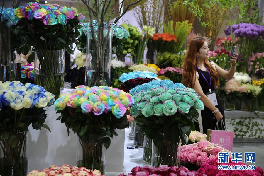 #（社会）（3）第20届中国昆明国际花卉展开幕
