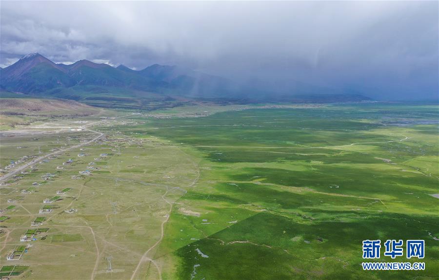 （环境）（1）水草丰美的藏北牧场