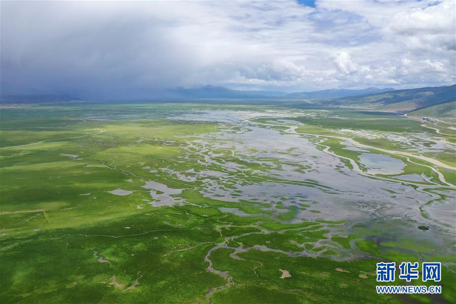 （环境）（2）水草丰美的藏北牧场
