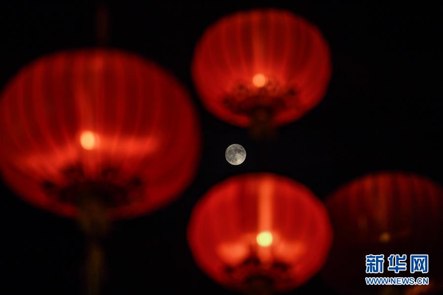 （社會）（2）香港舉行中秋彩燈會