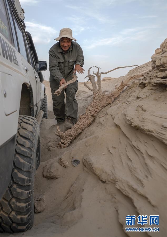 （圖文互動）（2）大漠戈壁裏的飛馳人生——新疆巴州文物局司機皮明忠的故事 