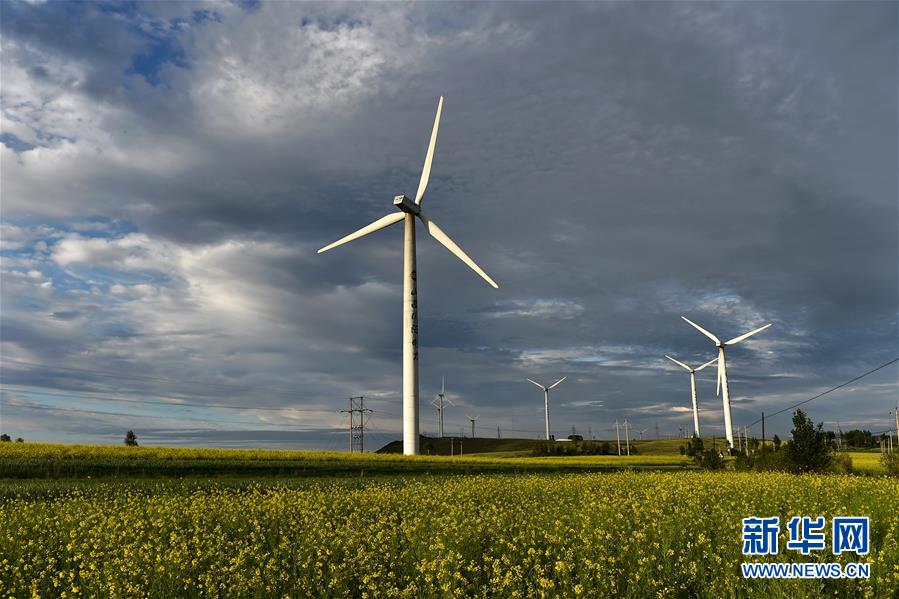 （新华全媒头条·图文互动）（9）为美丽中国增添绿色动力——2019年太原能源低碳发展论坛释放绿色发展新信号