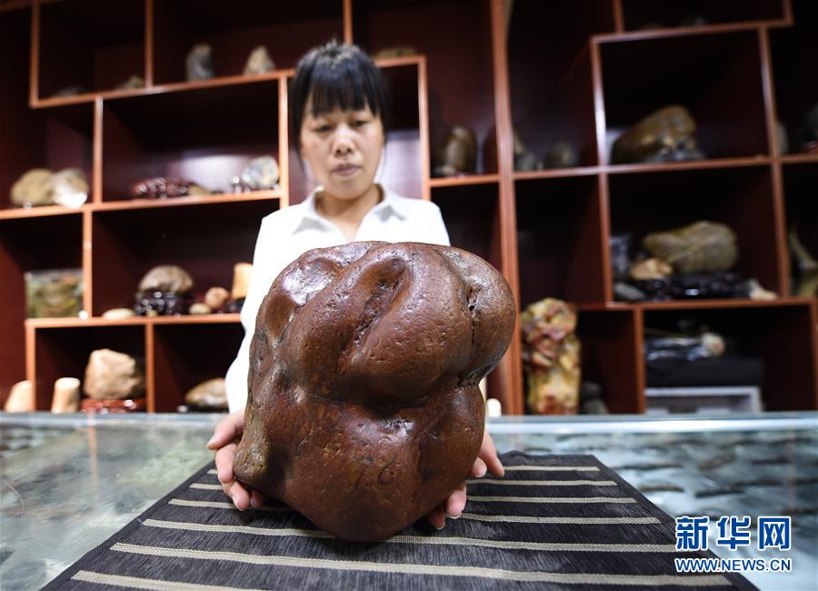 （图文互动）（6）黑龙江海伦发现罕见古生物群