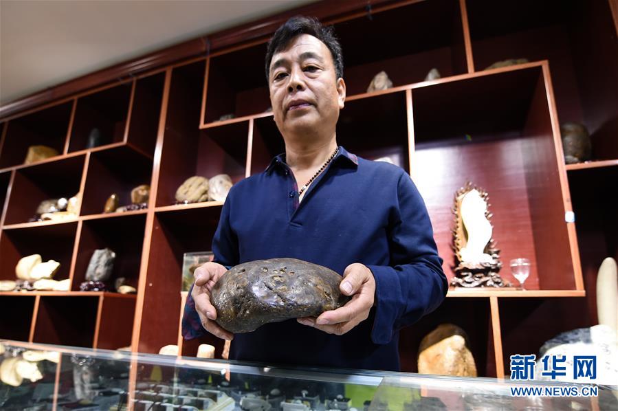 （图文互动）（3）黑龙江海伦发现罕见古生物群