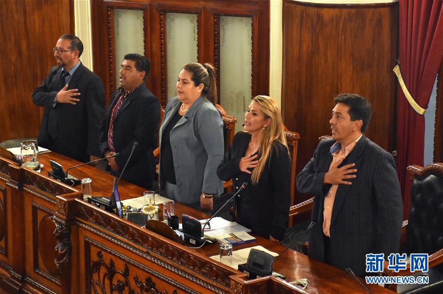 （国际）（1）阿涅斯宣布就任玻利维亚临时总统