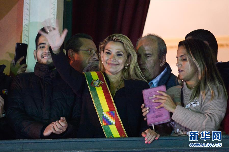 （国际）（2）阿涅斯宣布就任玻利维亚临时总统