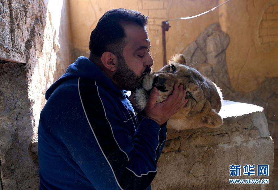 （国际·图文互动）（1）通讯：一个叙利亚动物饲养员的梦想