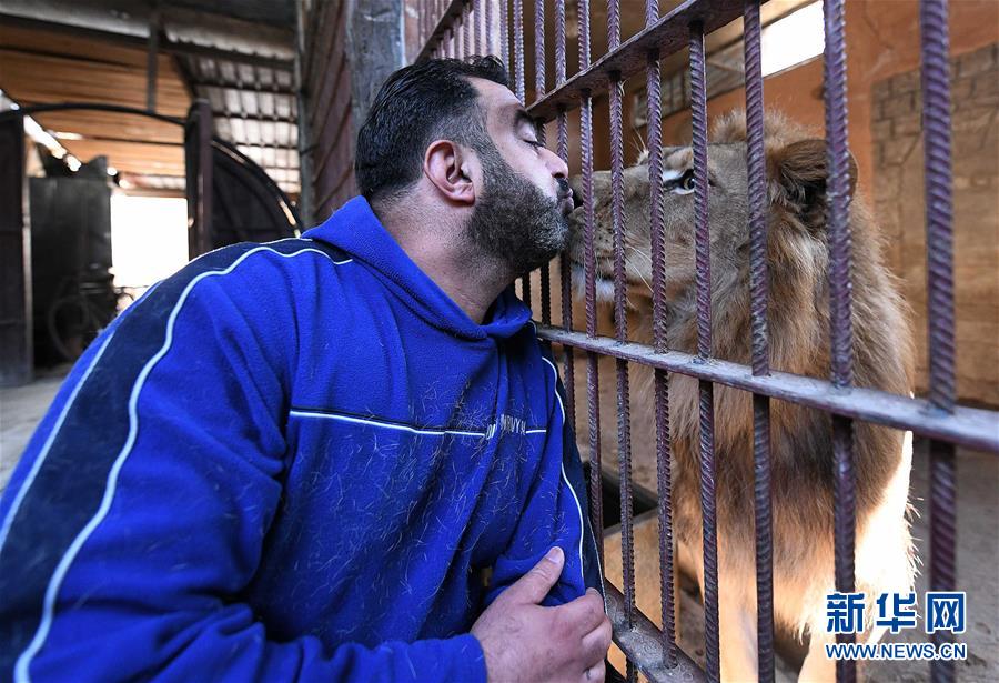 （国际·图文互动）（2）通讯：一个叙利亚动物饲养员的梦想
