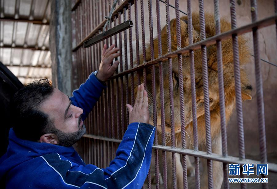 （国际·图文互动）（3）通讯：一个叙利亚动物饲养员的梦想