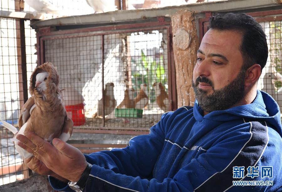（国际·图文互动）（6）通讯：一个叙利亚动物饲养员的梦想