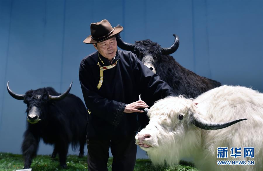 （新华全媒头条·图文互动）（2）“老牦牛”亚格博的西藏情缘——记北京援藏干部吴雨初