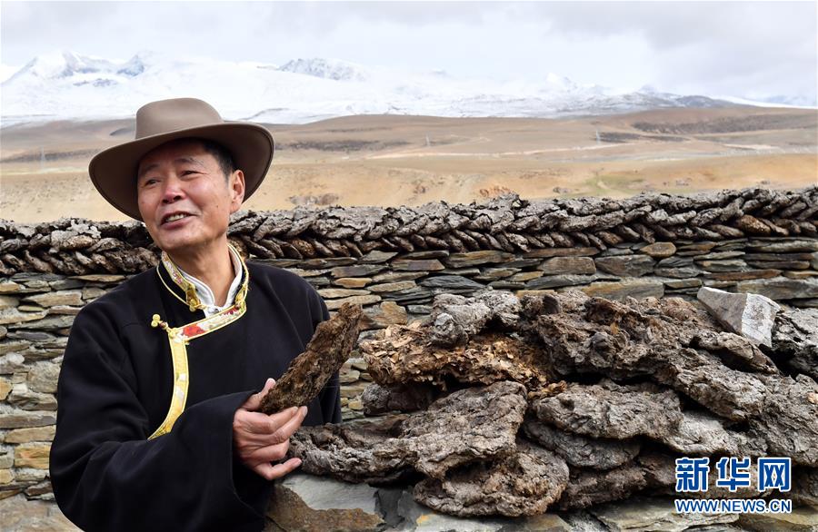 （新华全媒头条·图文互动）（4）“老牦牛”亚格博的西藏情缘——记北京援藏干部吴雨初