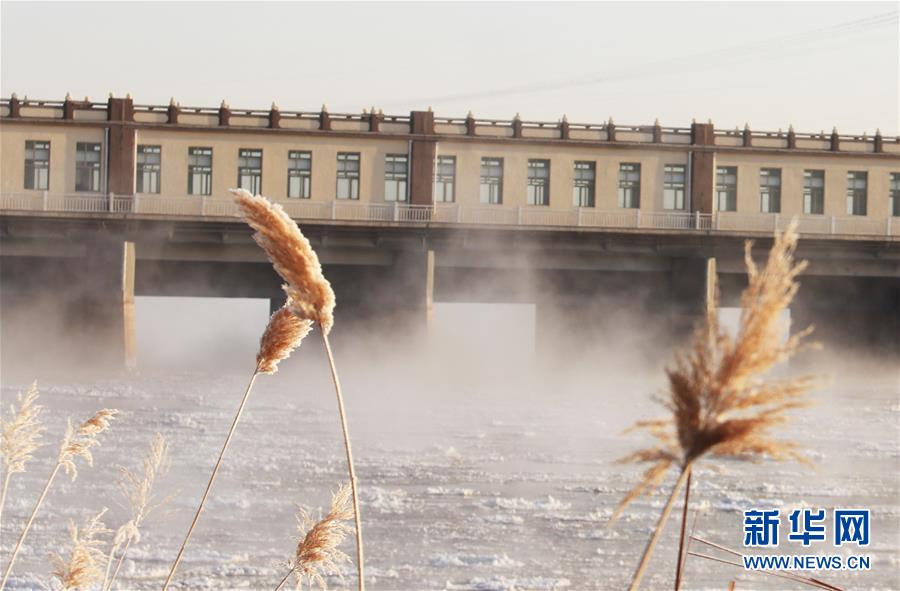 （环境）（4）黄河三盛公水利枢纽库区出现“水煮黄河”景观