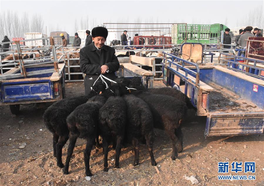 （图文互动）（3）新疆喀什“牛羊巴扎”成农牧民“聚宝盆”