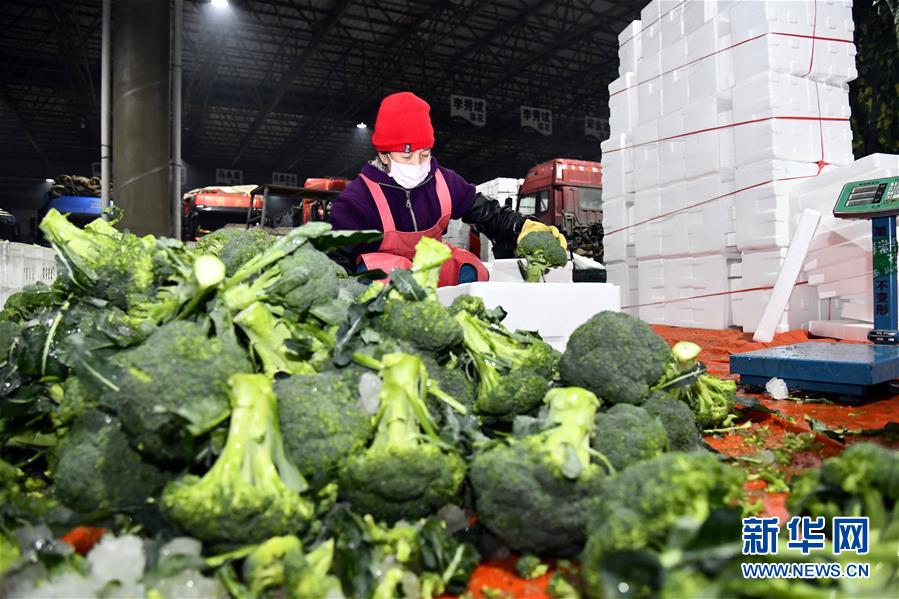 （聚焦疫情防控·图文互动）（4）蔬菜产地供应充足 菜价在合理区间——来自蔬菜生产大省山东的一线调查报告
