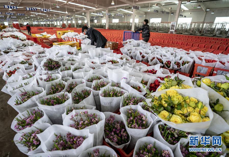 （聚焦疫情防控）（7）昆明斗南花卉交易市场恢复拍卖交易
