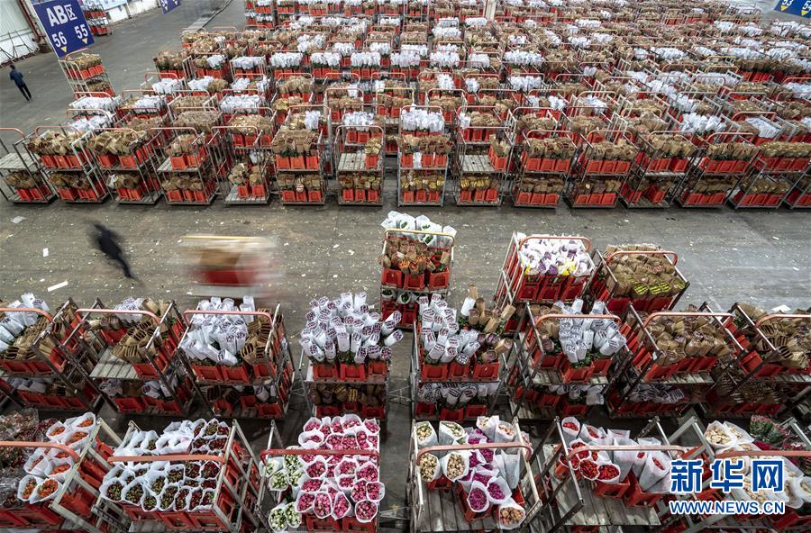 （聚焦疫情防控）（3）昆明斗南花卉交易市场恢复拍卖交易