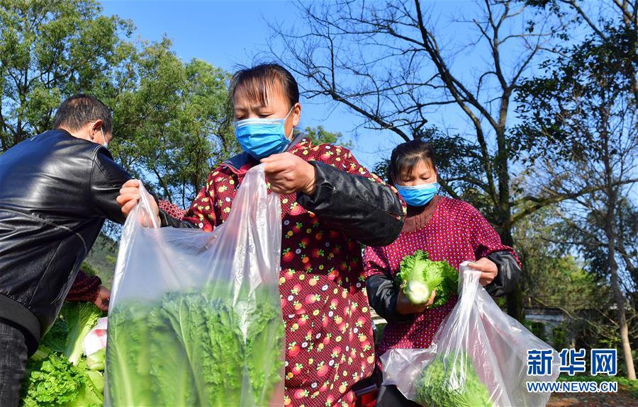（图文互动）（6）广西桂林：“借力+接力”新鲜蔬菜进社区