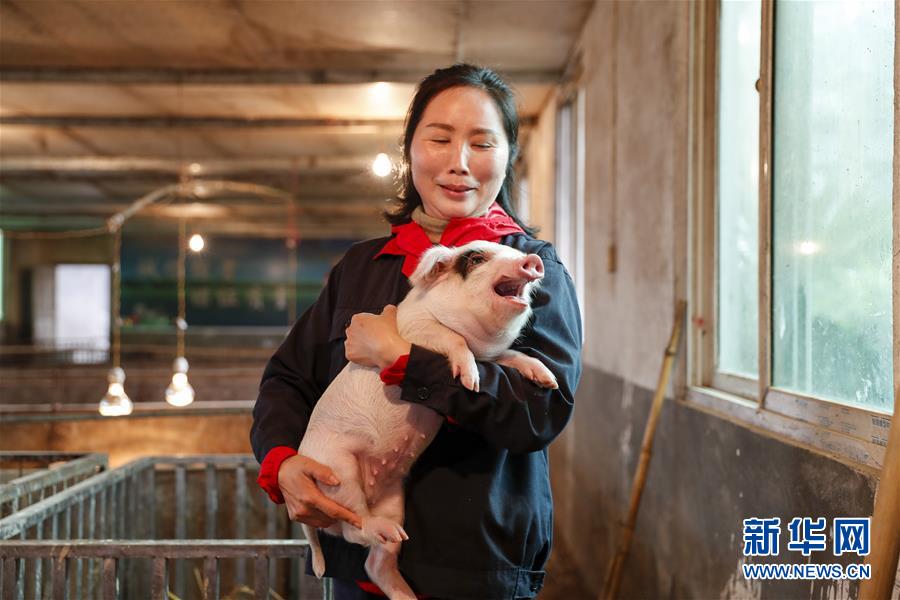 （图文互动）（1）重庆荣昌：生猪产能加快恢复 危中寻机升级产业