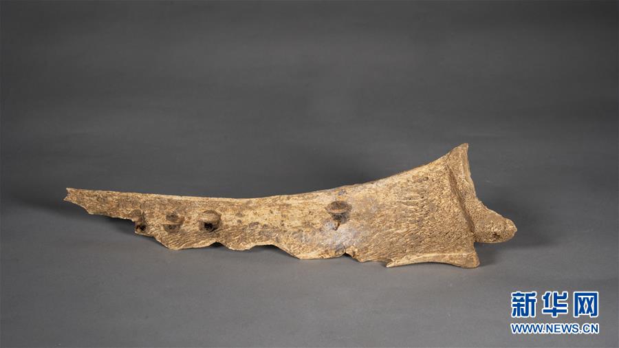（图文互动）（2）河南发现大型商周遗址　出土甲骨文记载的罕见人祭遗存