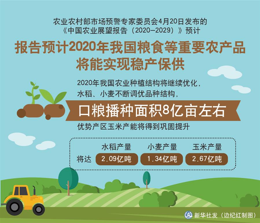 （图表）［经济］报告预计2020年我国粮食等重要农产品将能实现稳产保供