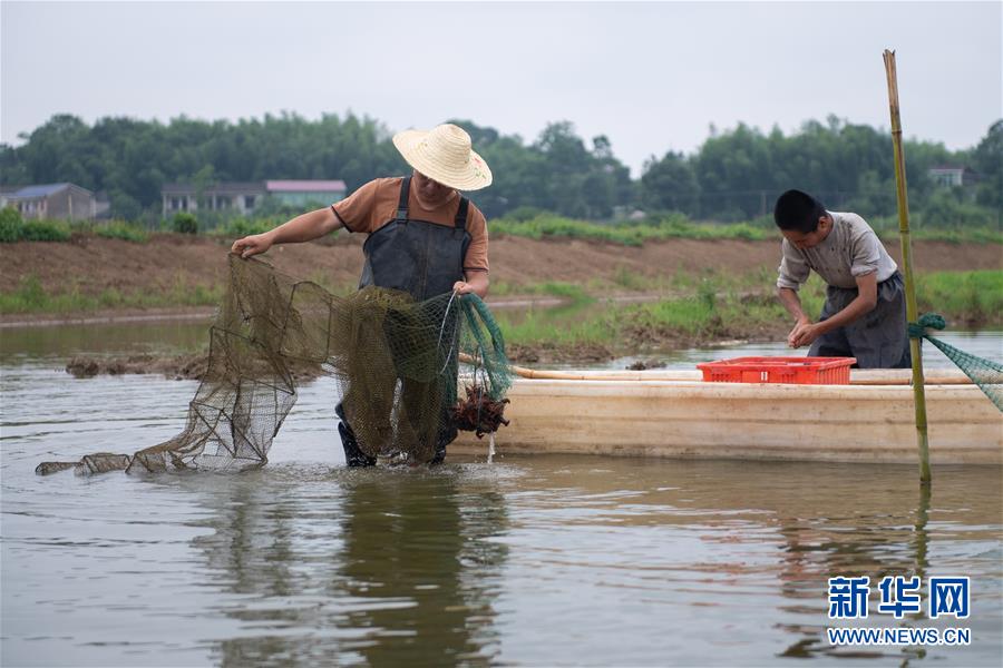 （图文互动）（1）湖南湘潭一养殖基地为小龙虾建起“小火车”