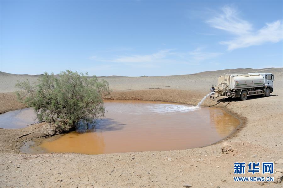 （图文互动）（4）卡拉麦里“补水行动”：新疆帮助野生动物抗旱