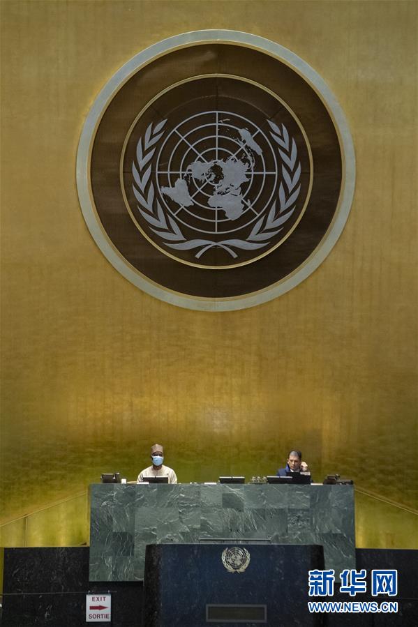 （国际）（3）博兹克尔当选第75届联合国大会主席