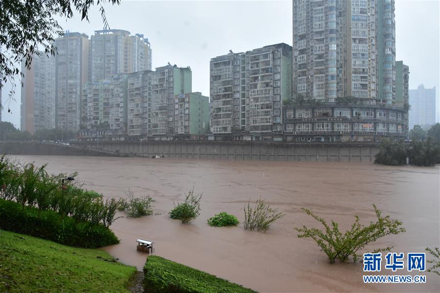 （圖文互動）（4）重慶6個區縣降暴雨 榮昌瀨溪河出現超保證水位洪水