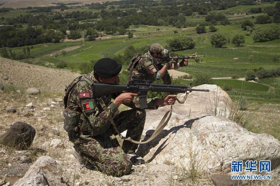（国际）（3）阿富汗安全部队击毙31名塔利班武装人员