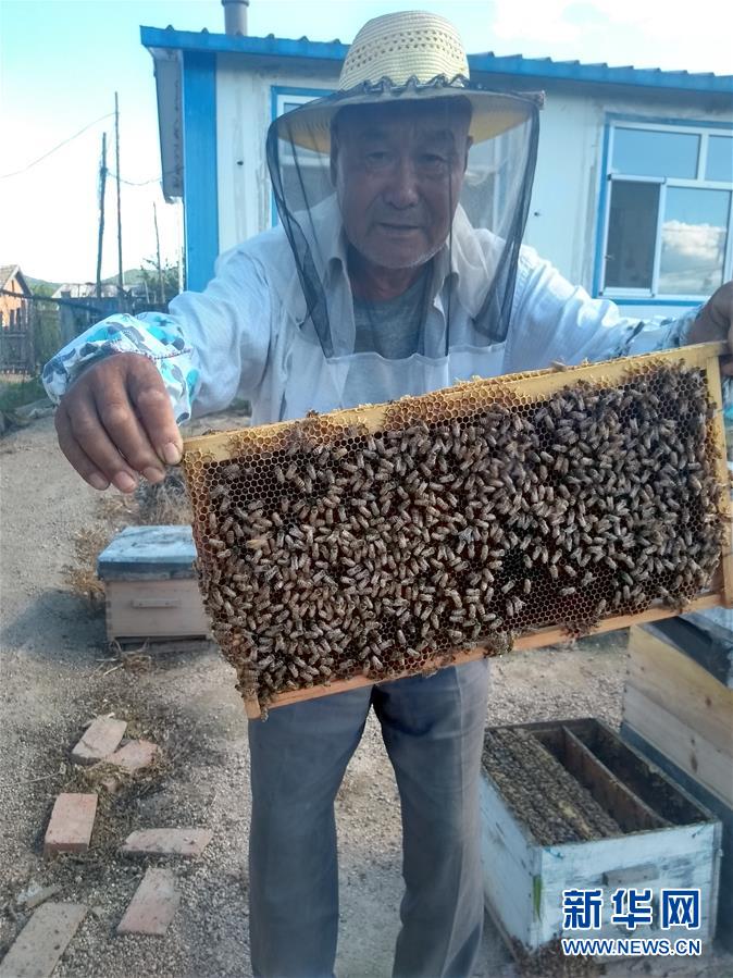 （乡村振兴·图文互动）（1） 黑蜂蜜“触网”酿就“甜蜜生活”