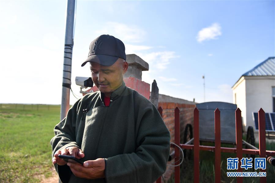 （走向我們的小康生活·圖文互動）（5）草原有了網，手機能放羊——看呼倫貝爾大草原牧民生活變了樣 