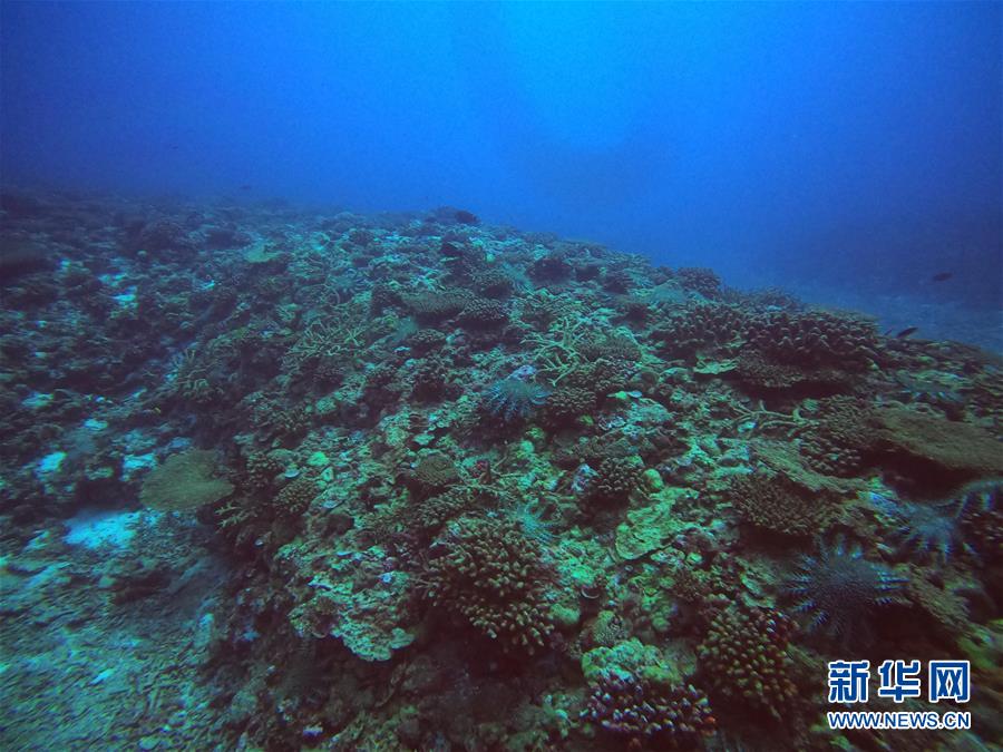 （圖文互動）（1）中沙群島綜合科學考察項目2020年度綜合航次任務完成