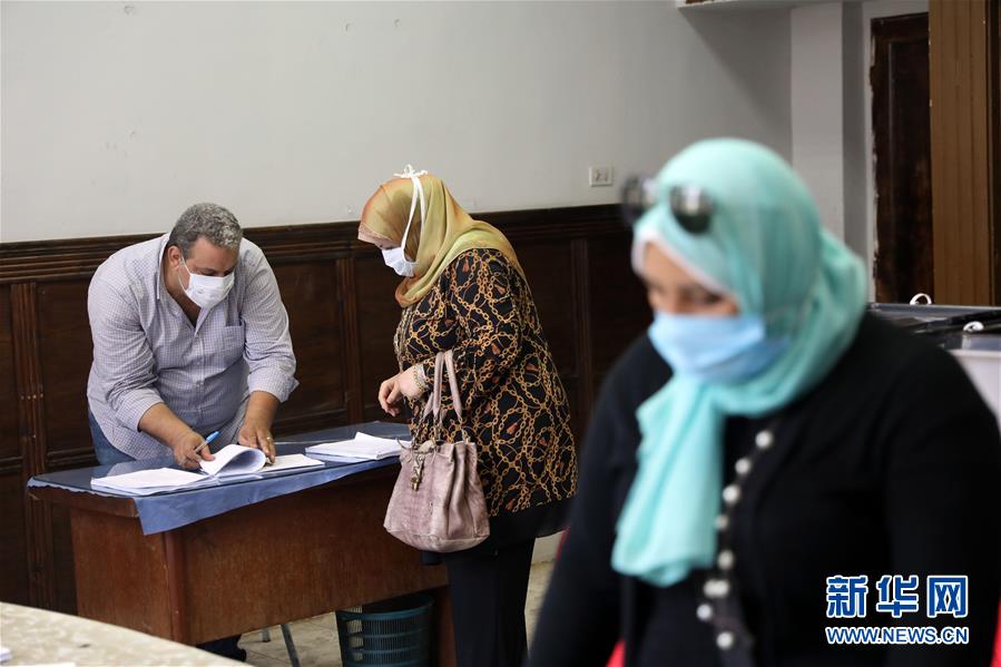 （国际）（3）埃及举行议会上院选举