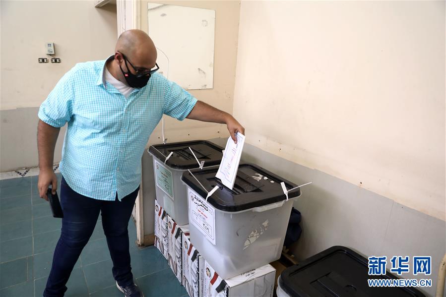 （国际）（5）埃及举行议会上院选举