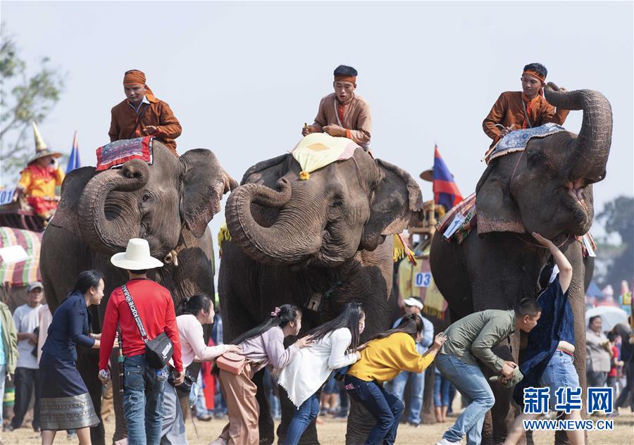 （国际·编辑连线）（7）世界大象日：让我们一起来关心人类的大朋友