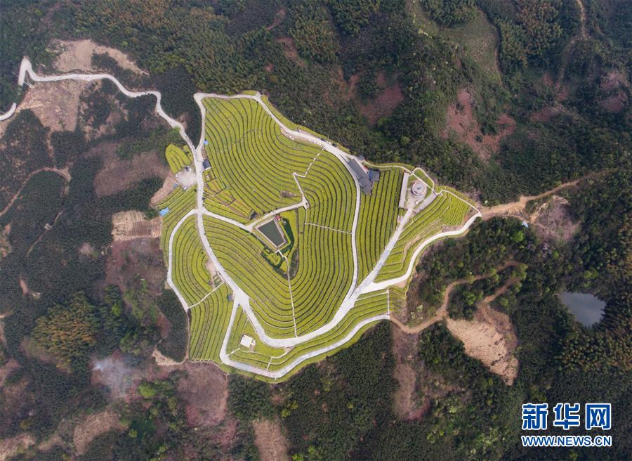 （新華全媒頭條·圖文互動）（3）生態文明之光照耀美麗中國——寫在綠水青山就是金山銀山理念提出15周年之際