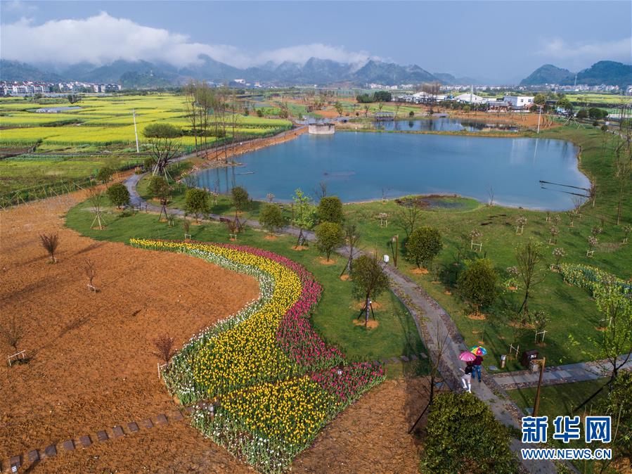 （新華全媒頭條·圖文互動）（7）生態文明之光照耀美麗中國——寫在綠水青山就是金山銀山理念提出15周年之際