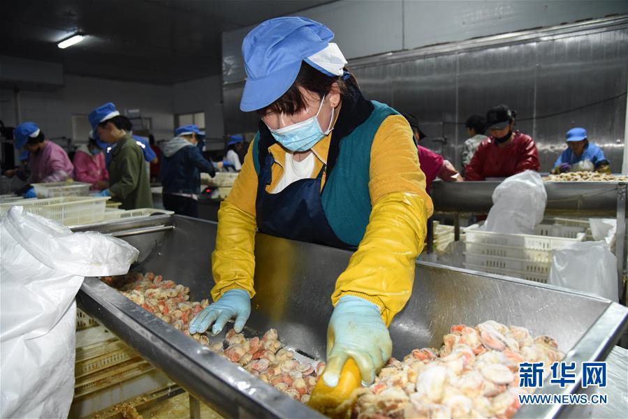 （走向我們的小康生活·圖文互動）（7）長島漁民的扇貝喜事：從請客求人買到供不應求