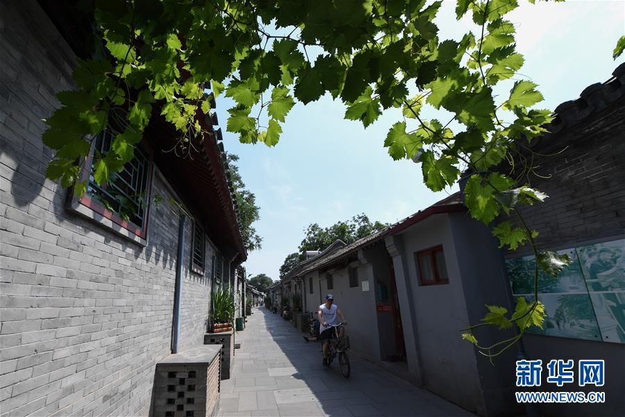 （走向我們的小康生活·圖文互動）（1）小橋、流水、書香、人家——老北京胡同裏的恬靜棲居