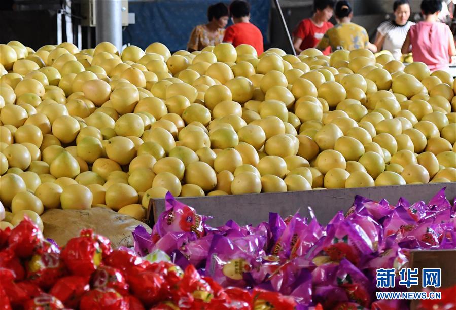 （圖文互動）（1）“中國柚都”的脫貧“蜜”碼
