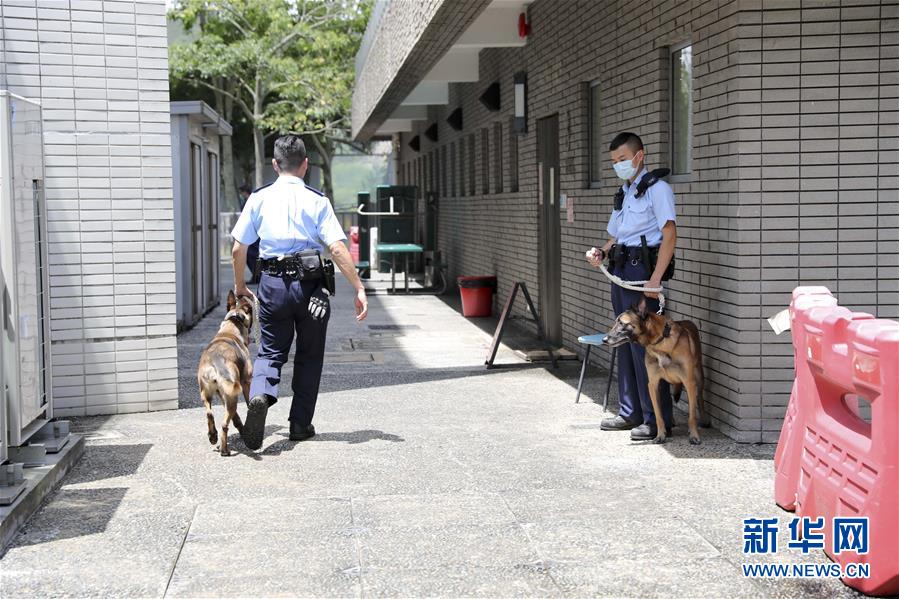 （港澳臺·香港故事·圖文互動）（1）香港警犬隊領犬員和他的“家人”