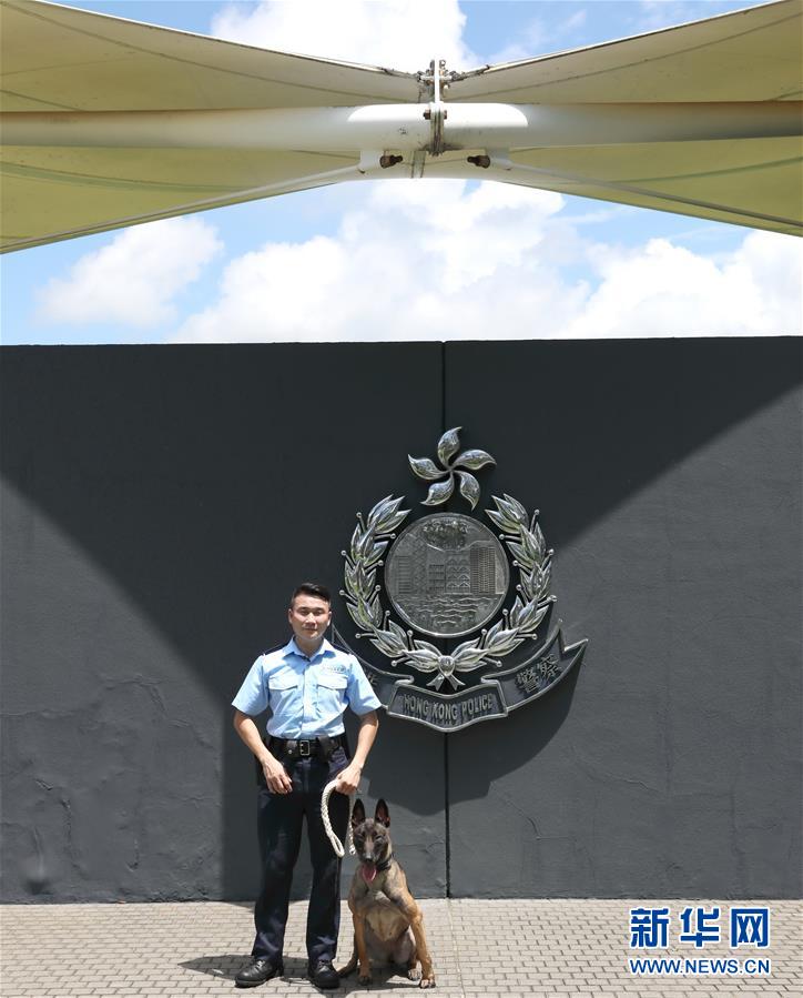 （港澳台·香港故事·图文互动）（3）香港警犬队领犬员和他的“家人”
