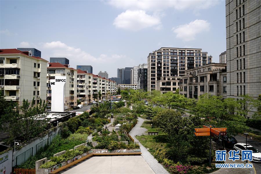 （图文互动）（1）百年老区“拥抱”新生代，上海杨浦打造人民城市“样板间”