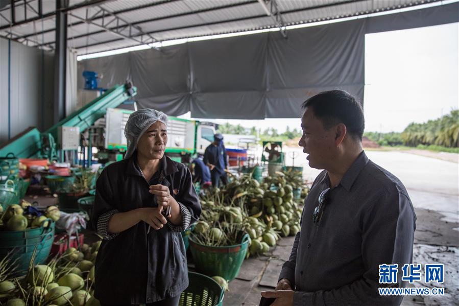（第三届进博会·图文互动）（4）通讯：椰香飘进进博会 市场开放共繁荣——一名泰国椰商的心声
