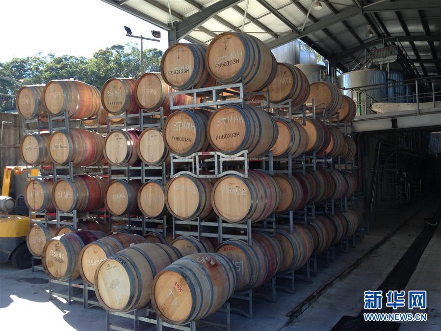 （第三届进博会·图文互动）（6）专访：进博会是了解中国市场的好机会——访澳大利亚诺瓦维塔葡萄酒集团创始人卡臣