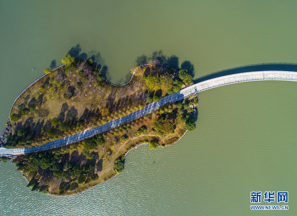 11月20日,风光旖旎的安徽省合肥市翡翠湖琴岛.
