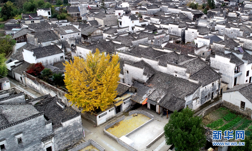 11月25日航拍的安徽省黄山市黟县南屏村.